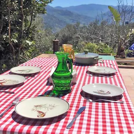 House In The Countryside With Aeolian View Reitano (Messina)